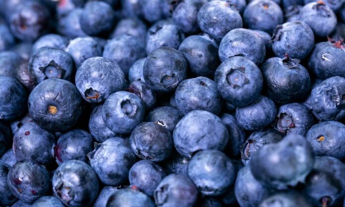 Is There a Blueberry Shortage
