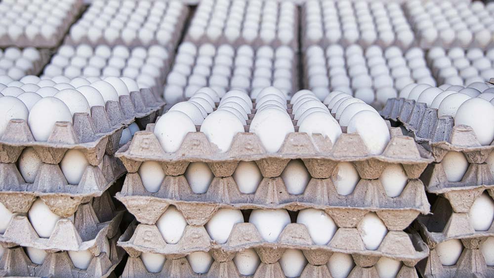 Costco Egg Shortage