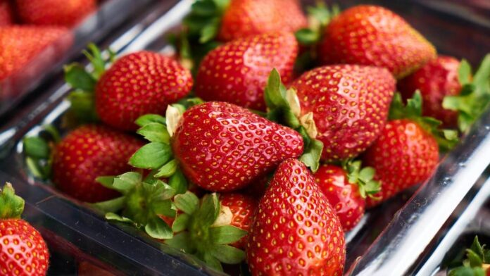 Strawberry Shortage 2024